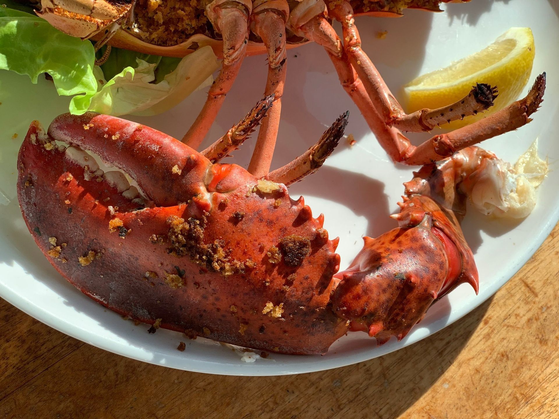 Restaurante El Rancho de la Langosta en Los Roques, especializado en langosta fresca con acompañamientos.