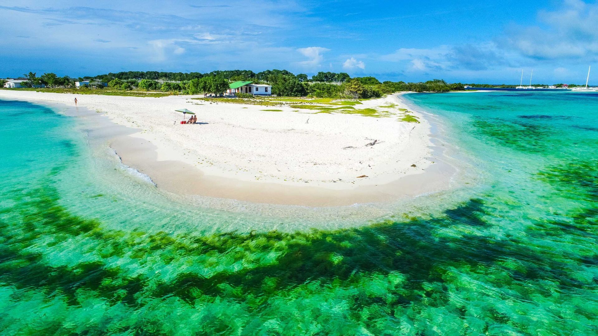 Cayo Pirata en Los Roques, con playas de arena blanca, aguas turquesas y un entorno tropical, ideal para el turismo.