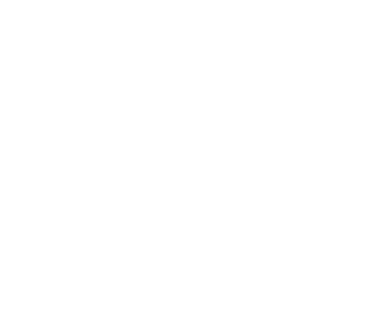 Blank white image with no visible content