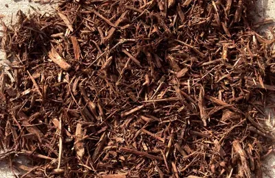 Kelowna mulch