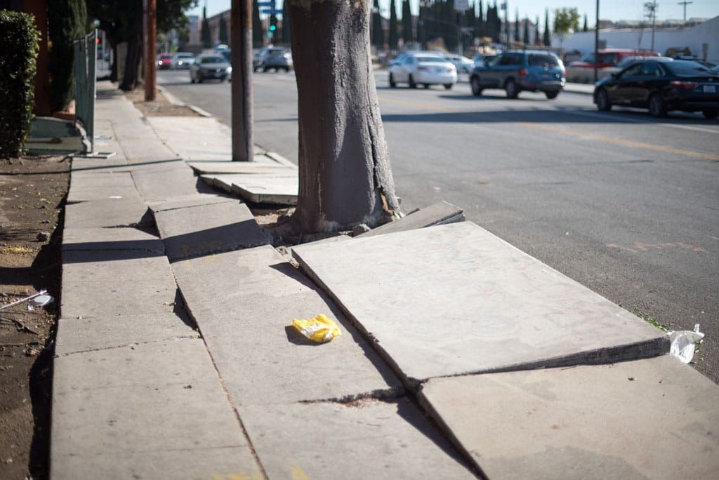 sidewalk ruined by roots