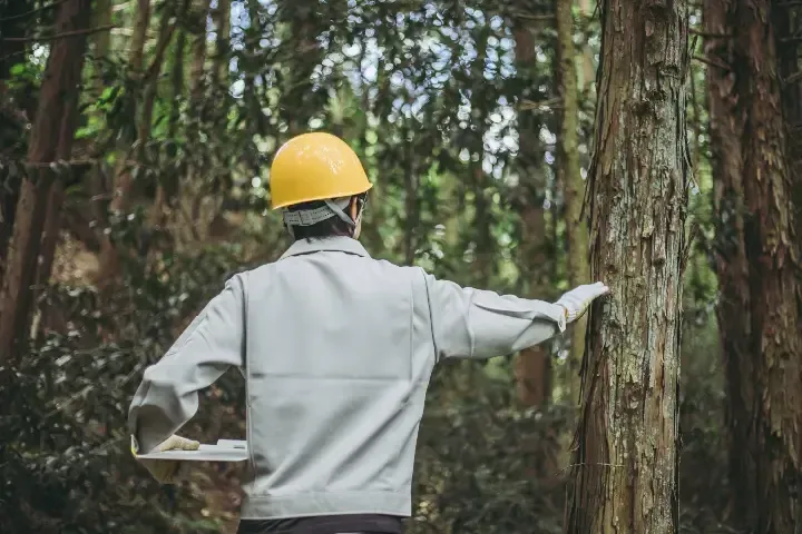 man inspecting tree in kelowna