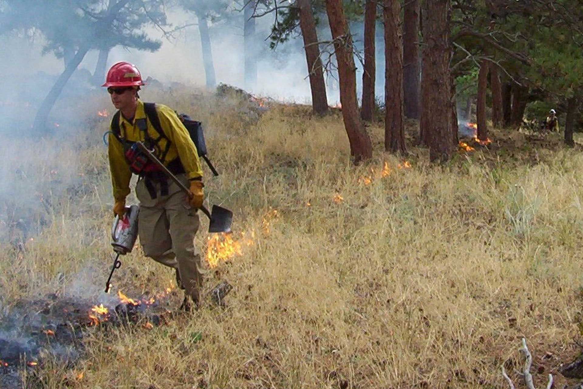 Wildfire prevention in Kelowna