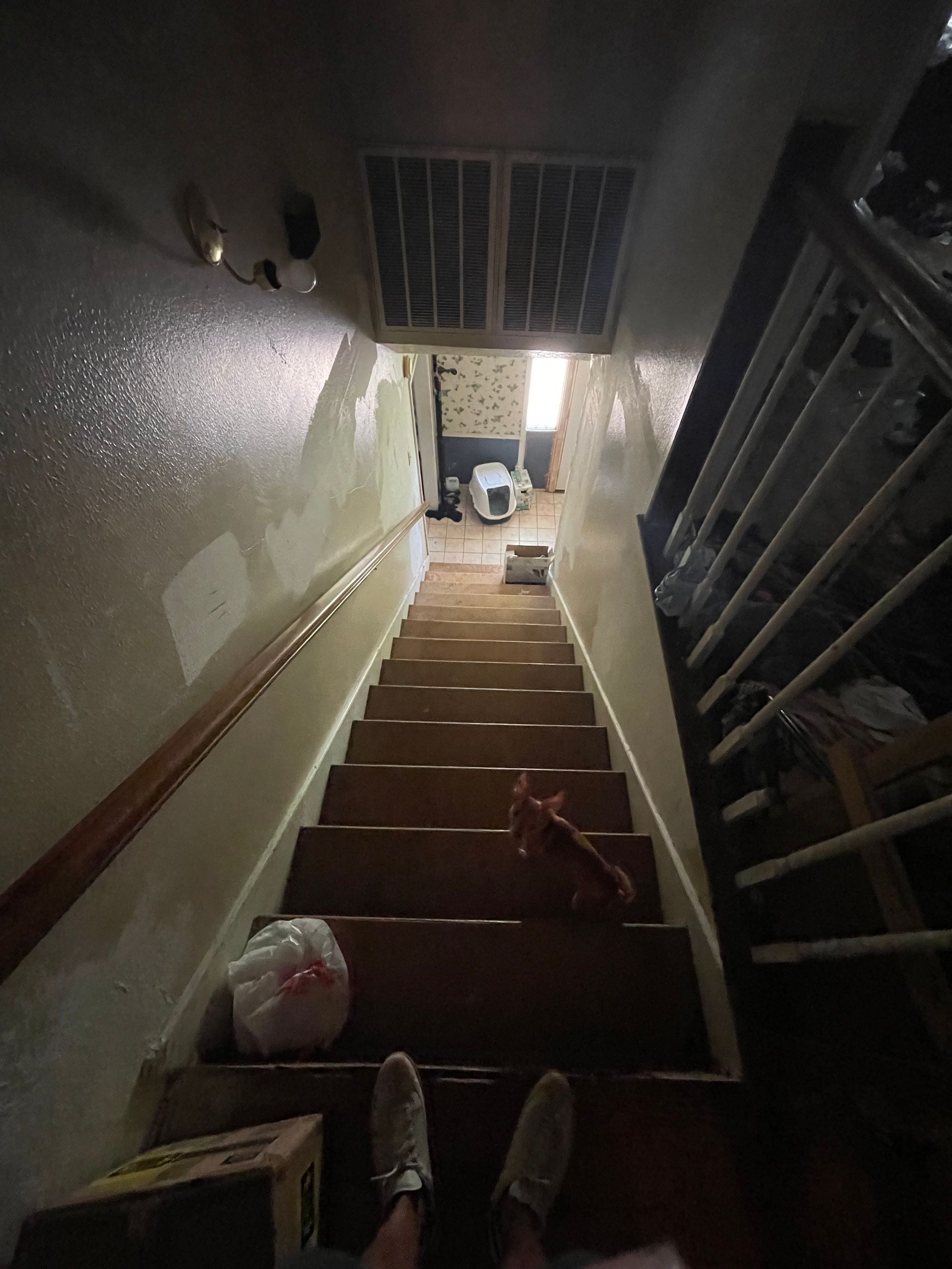 A person is standing on a set of stairs in a dark room.