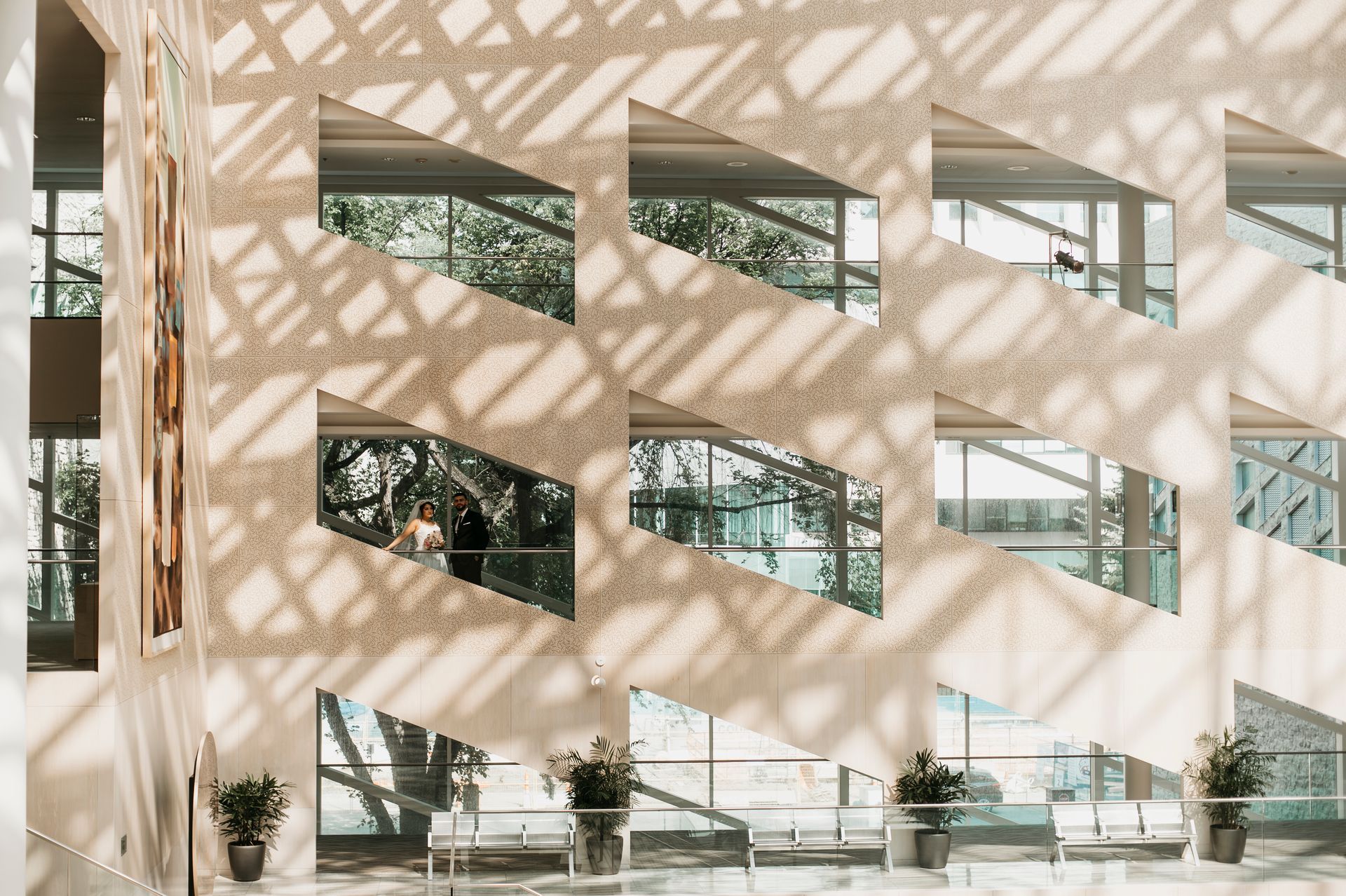 Modern building interior with patterned windows, sunlight, and potted plants.
