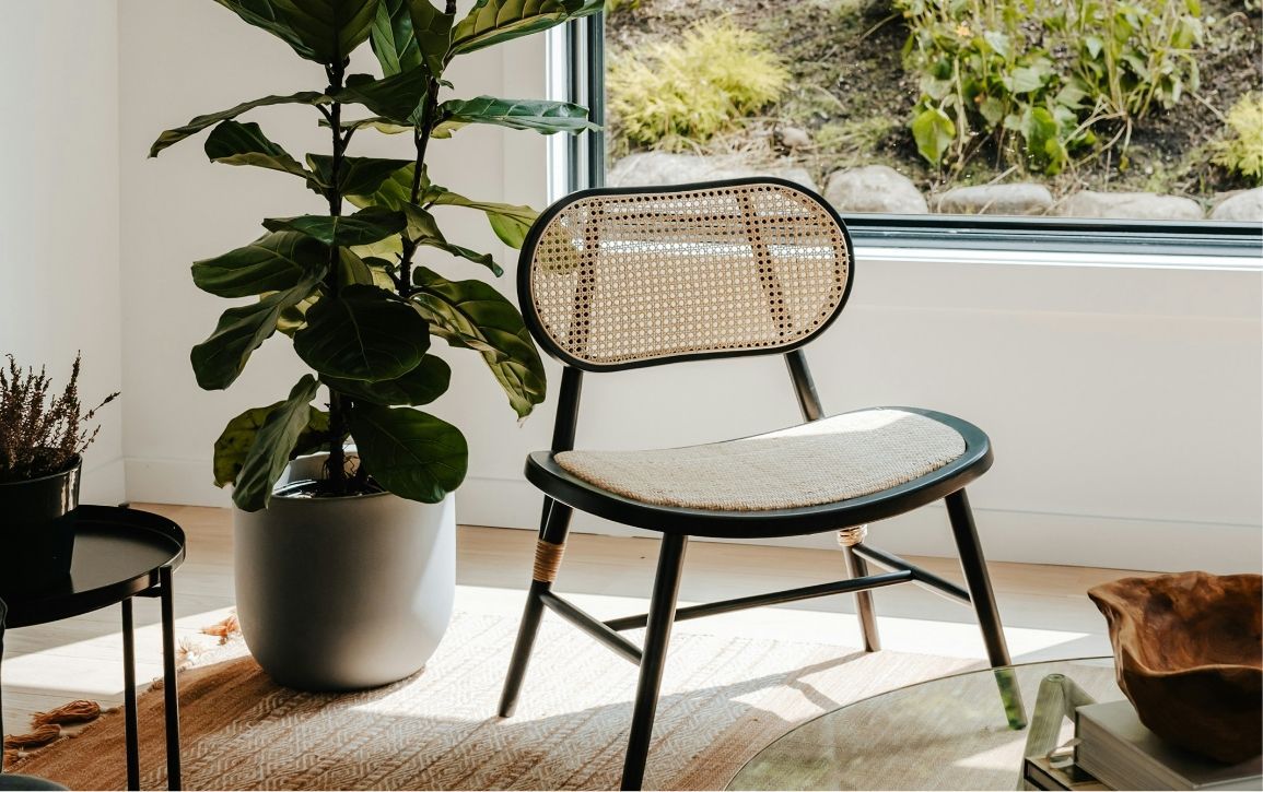 A chair is sitting in front of a window next to a potted plant.