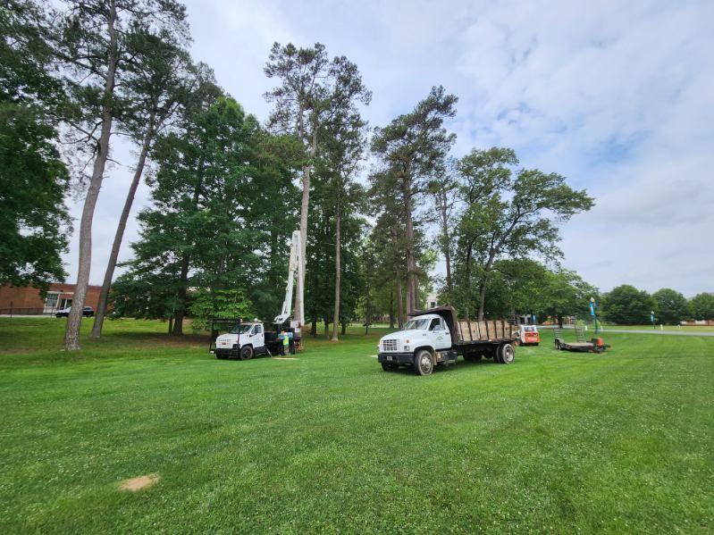 Two trucks are parked in a grassy field with trees in the background.