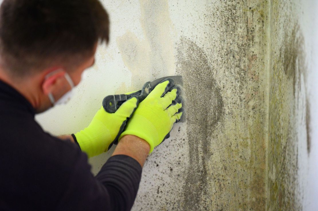 Una persona con una maschera e guanti giallo fluo raschia la muffa da una parete bianca con una spatola di metallo.