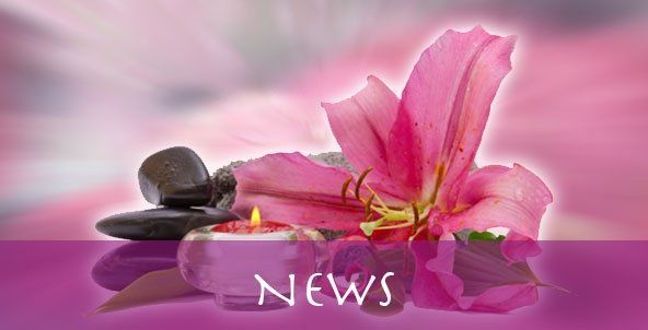 Eine rosa Blume steht neben einer Kerze und Steinen.