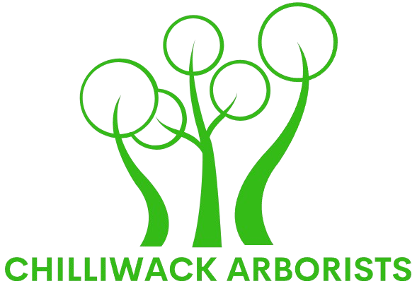 Chilliwack Arborists logo