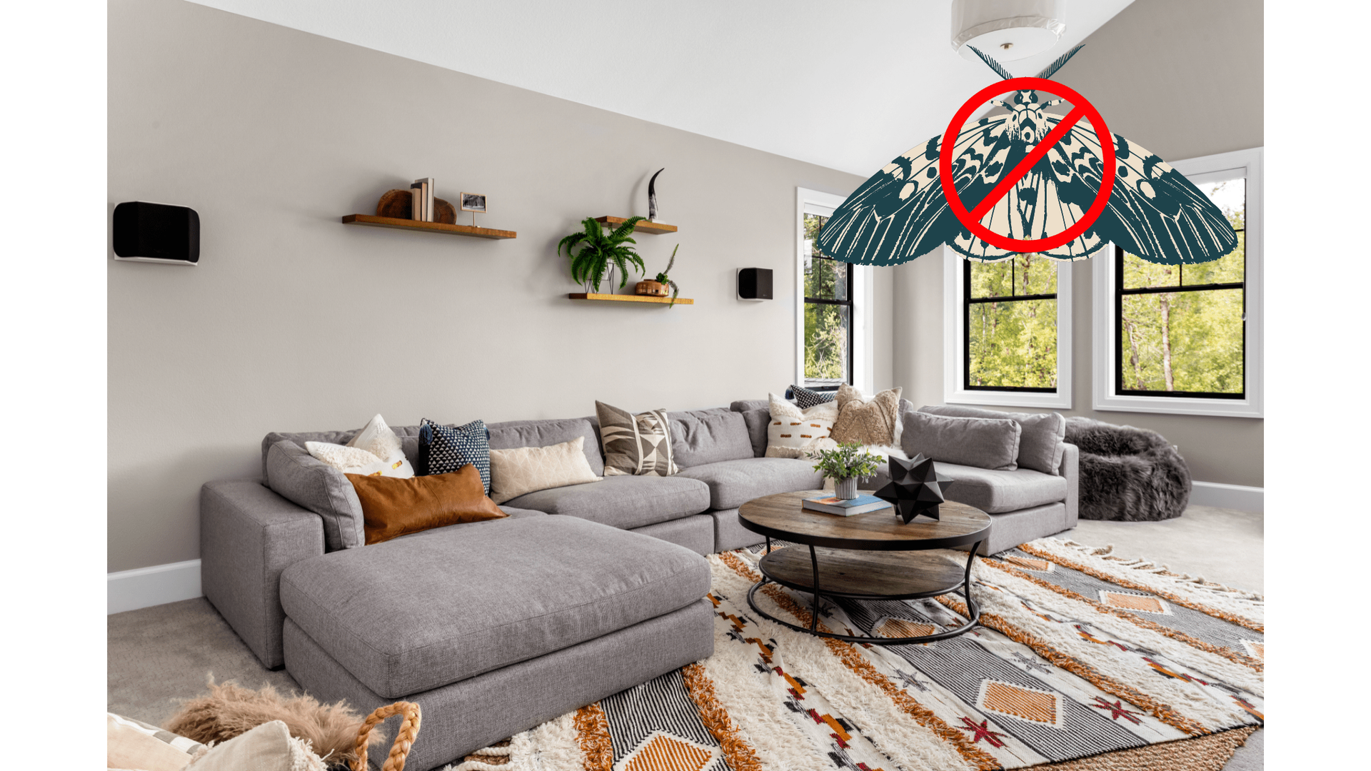 Moth-Proofing Area Rugs