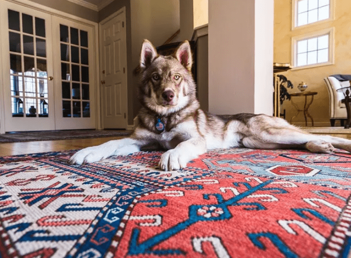 rug fiber shield protection
