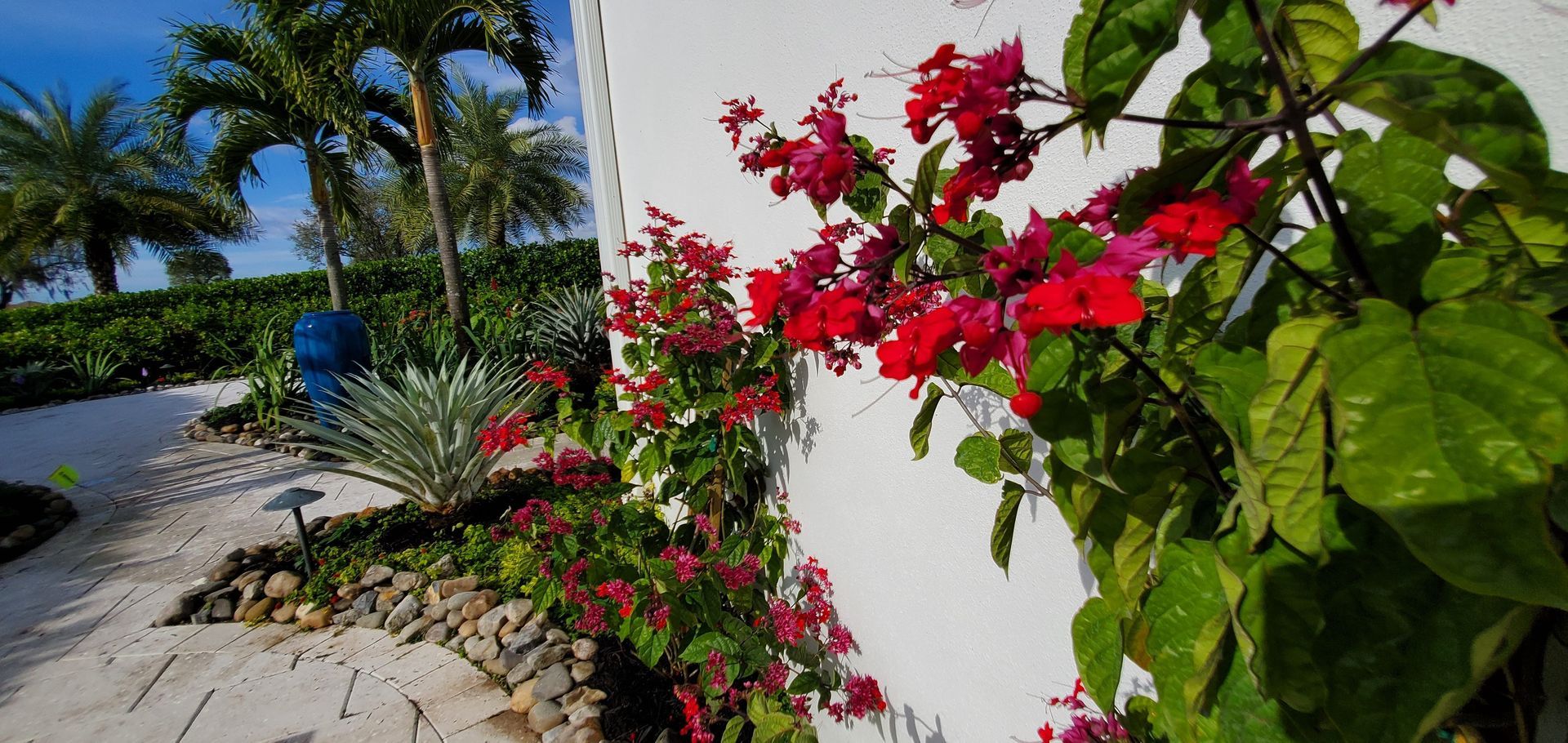 Pink And Red Flowers | Naples, FL | Tropical Creations by Oliver, LLC