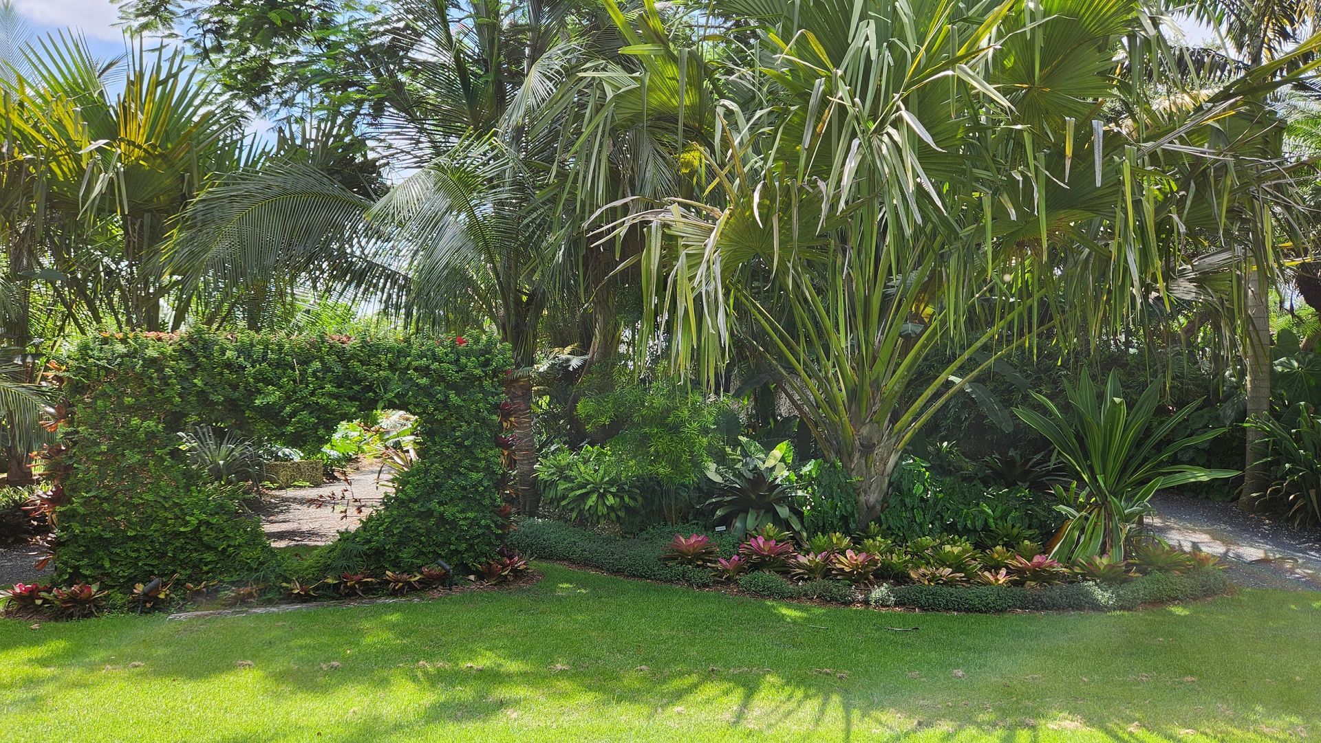 Beautiful Lanscape Plant | Naples, FL | Tropical Creations