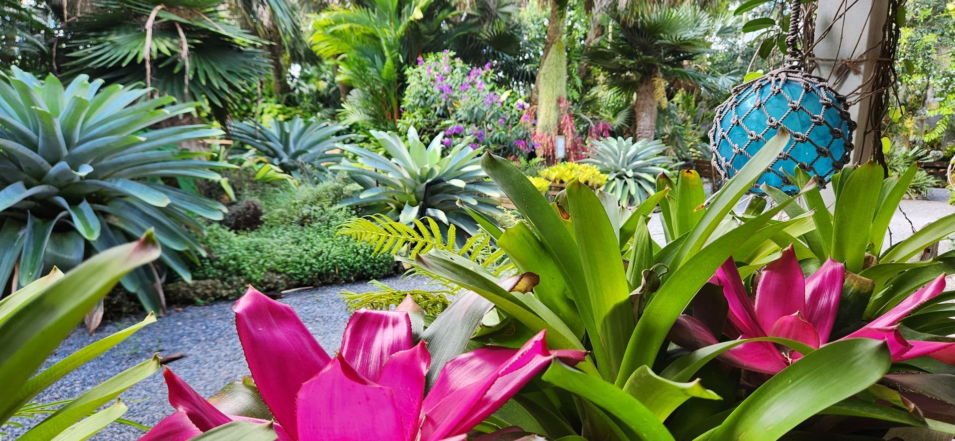 Classified Beautiful Flowers | Naples, FL | Tropical Creations by Oliver, LLC