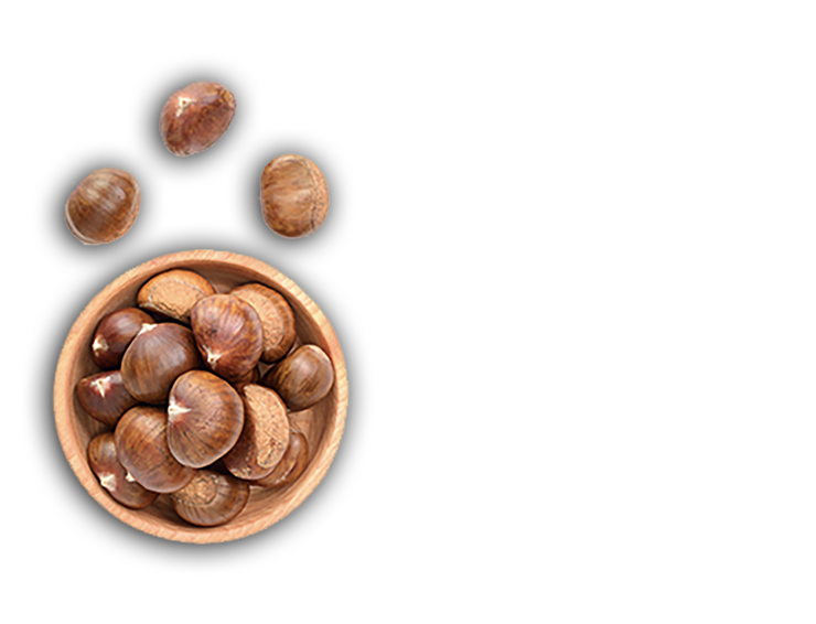 castagne