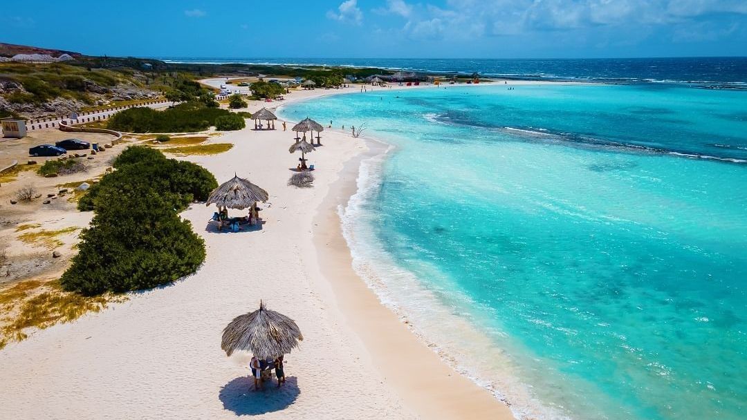 An aerial view of a tropical beach with umbrellas.