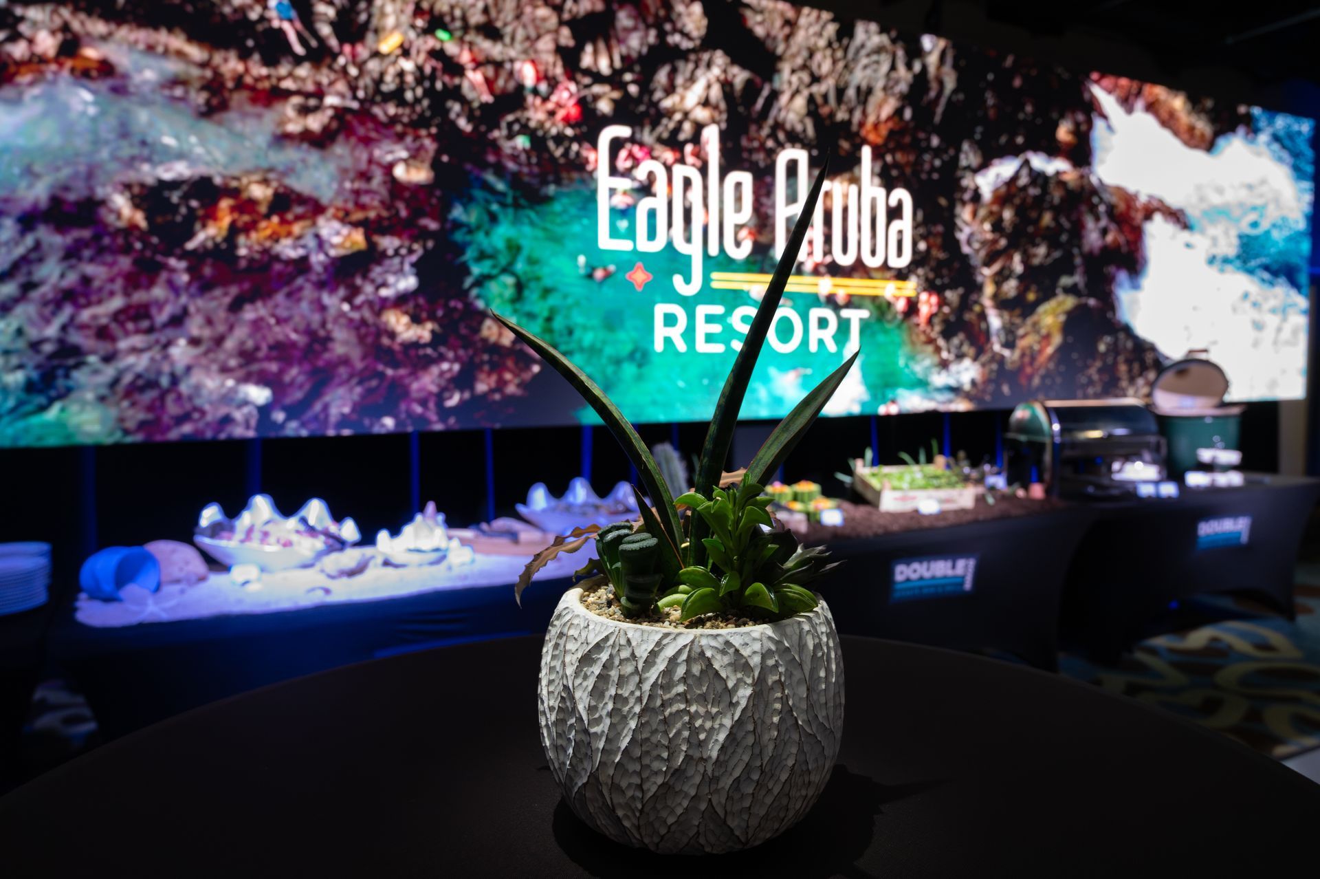 A potted plant is sitting on a table in front of a large screen.