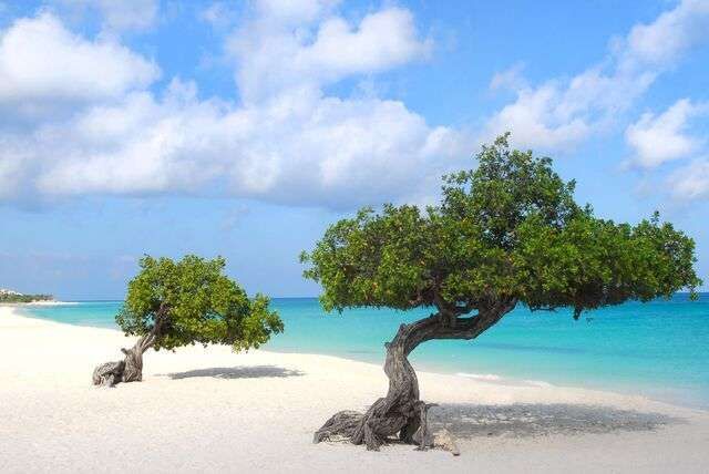 Eagle Beach Aruba