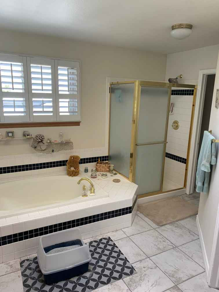 A bathroom with a tub , shower , and window.