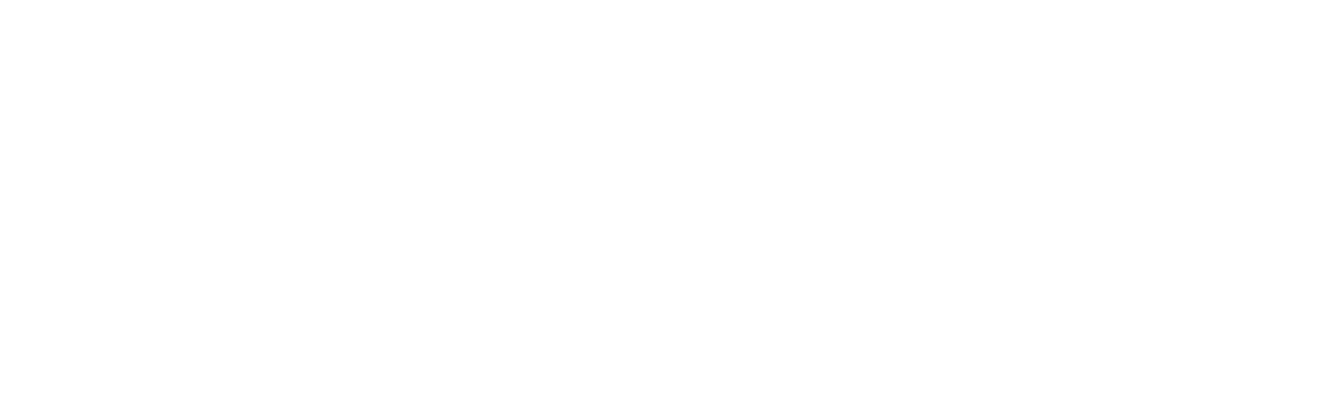 Digital Impact Audit Logo
