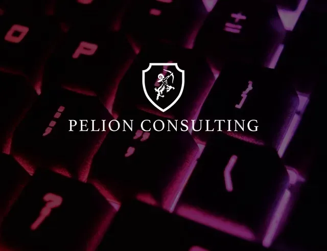 Pelion Cyber Security Website Designed by First Digital Studio