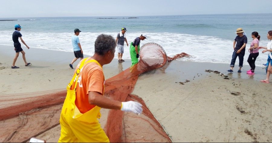 Volunteers in bright vests haul a fishing net onto a sandy beach beside the ocean.