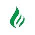 Green Light Gas logo element