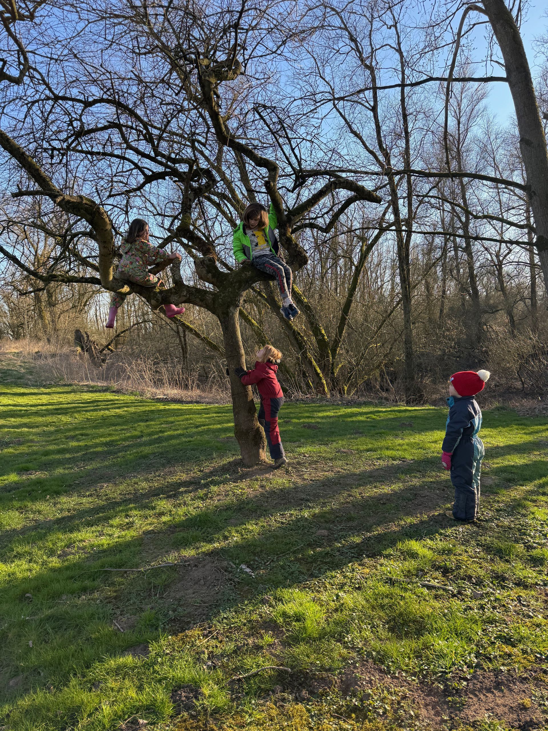 Samen bewegen, proberen, lachen — pure creativiteit en veerkracht tijdens klimmen in de natuur, waar verwondering en samenwerking centraal staan
