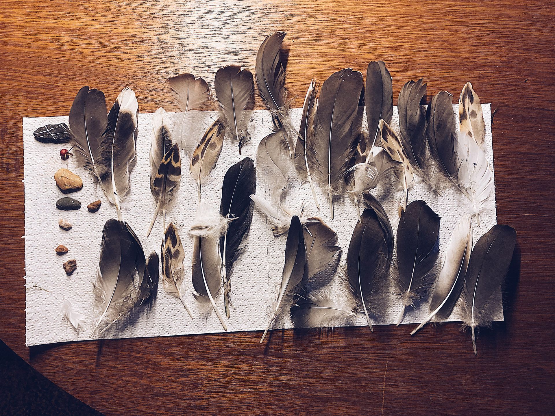 Schoonheid in het kleine — een intuïtieve verzameling van natuurvondsten stimuleert zelfexpressie, creatief denken en aandacht voor detail.