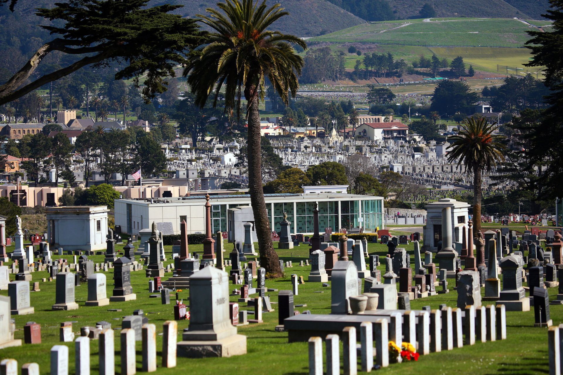Colma, CA Wide view of a large cemetery in Colma, California, with rows of tombstones, palm trees, and hills in the background under a clear sky.