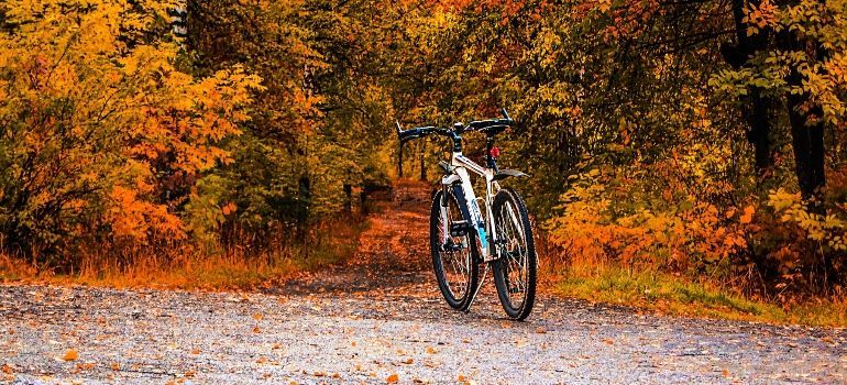 bike on the road as adjusting to life in Mountain View includes outdoor activities