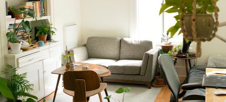 Green living room