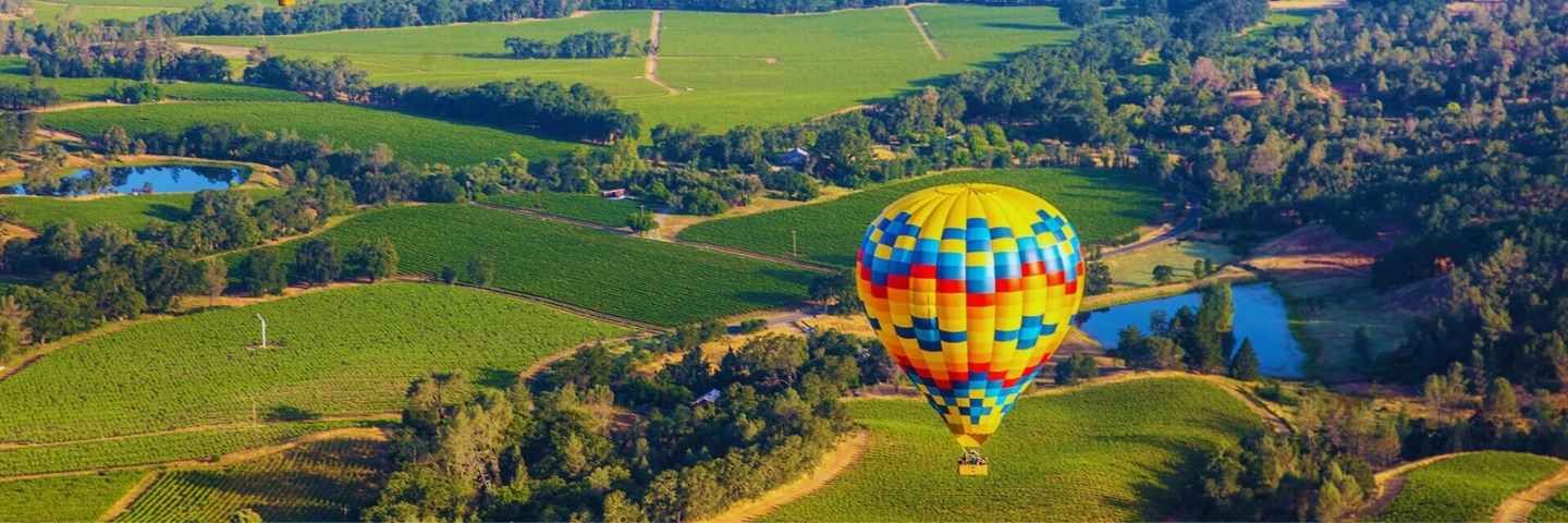 An aerial view of a hot air balloon flying over a vineyard.