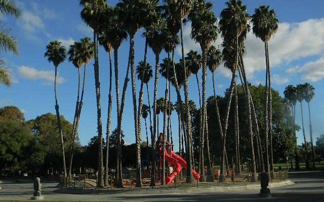 Discover the best parks in Sunnyvale, California