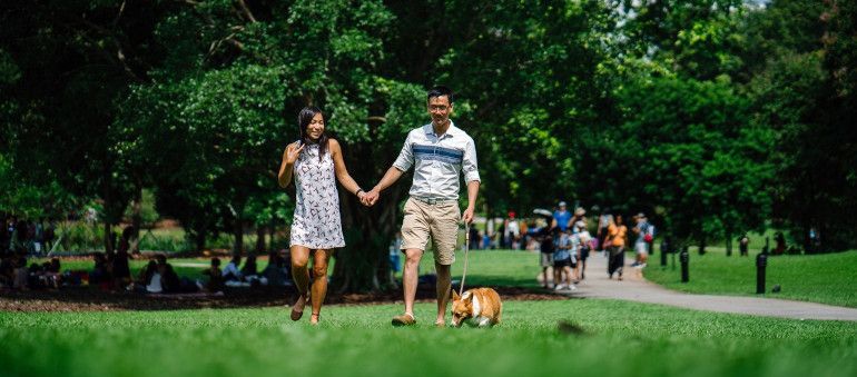 Woman and man holding hands while walking a dog in the park