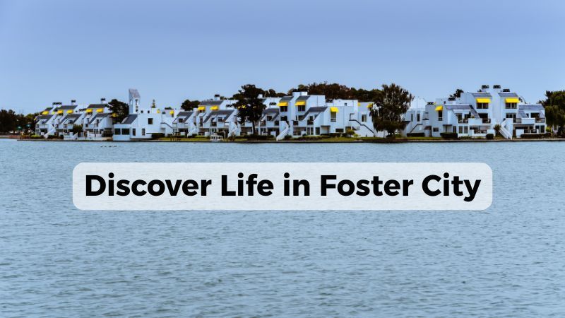 Discover Life in Foster City