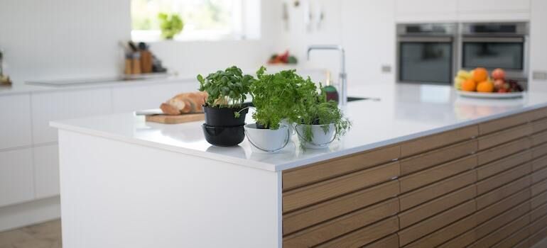 Green plants on a kitchen island inside a modern kitchen