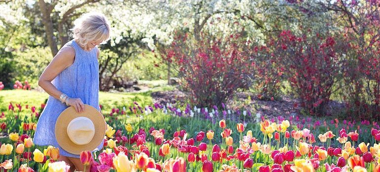 A woman walking in a field of tulips