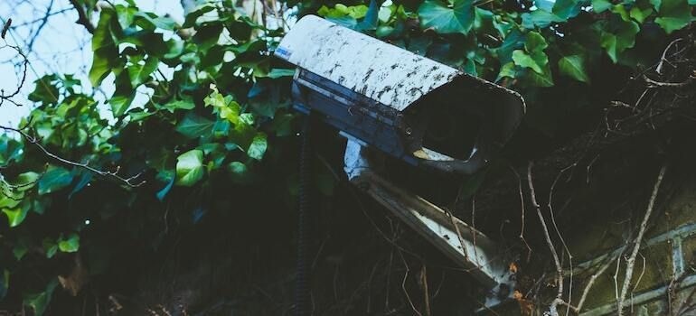 A security camera in a yard