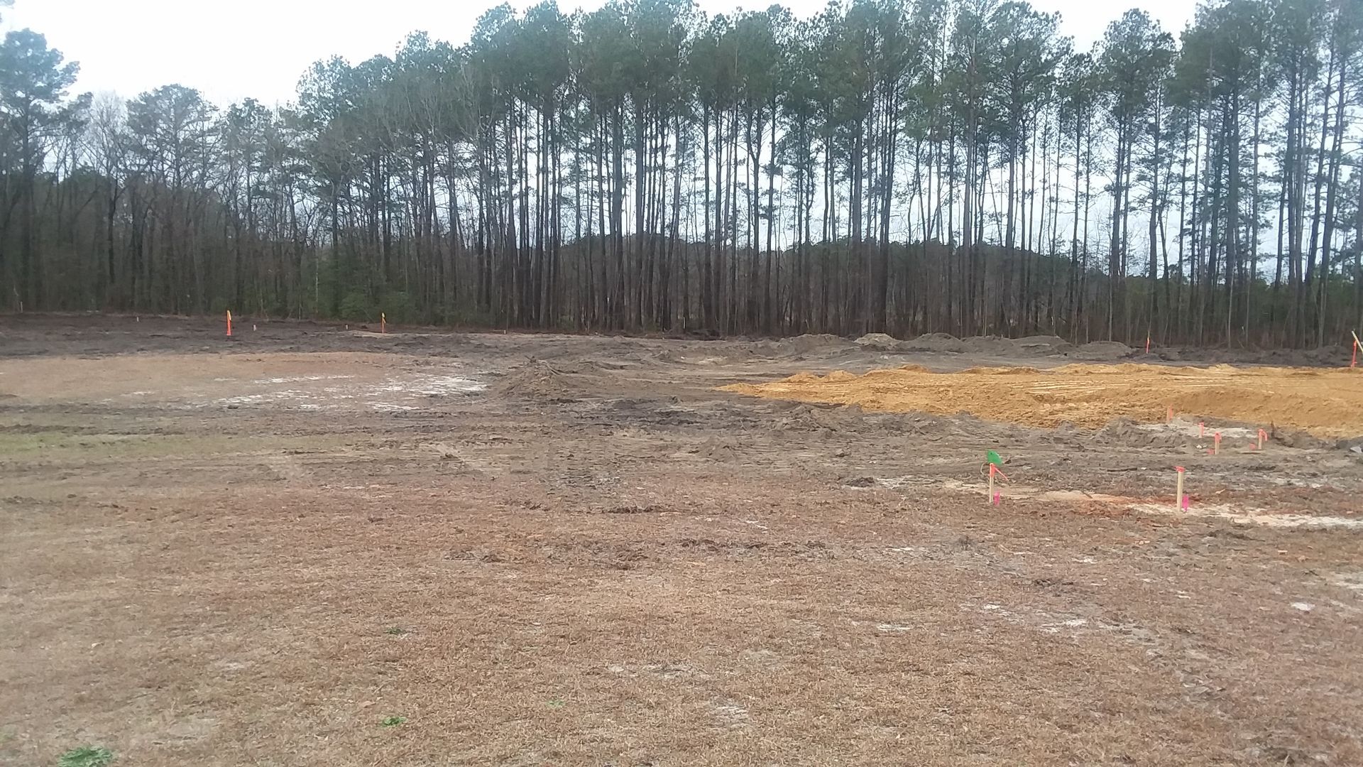 Commercial land being levelled and cleared by two yellow earth moving diggers.