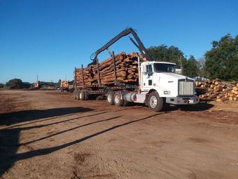 Land Clearing — Charlotte, NC — CSS Clearing & Grading LLC