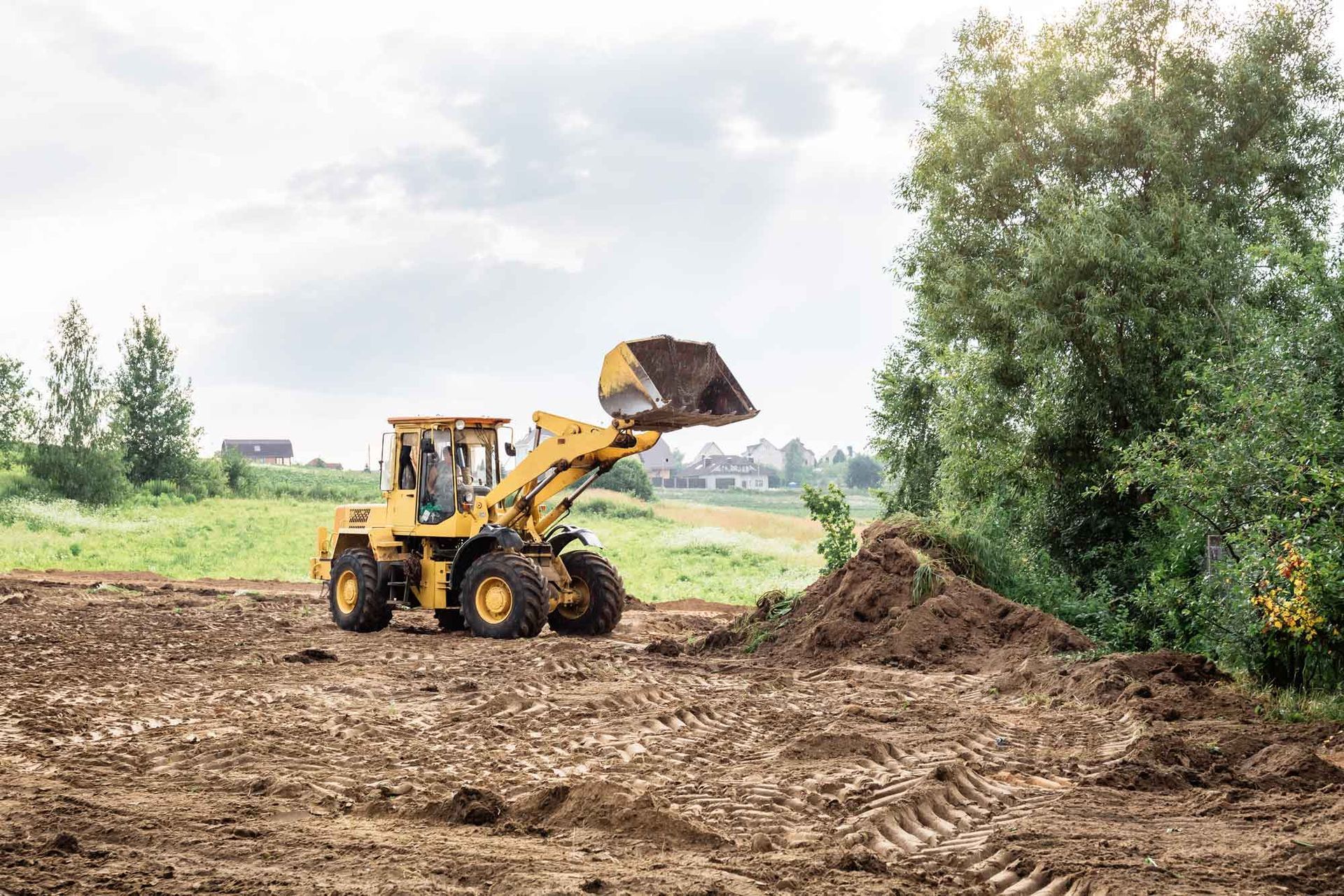 A yellow front loader is pushing soil piles on cleared land near trees 