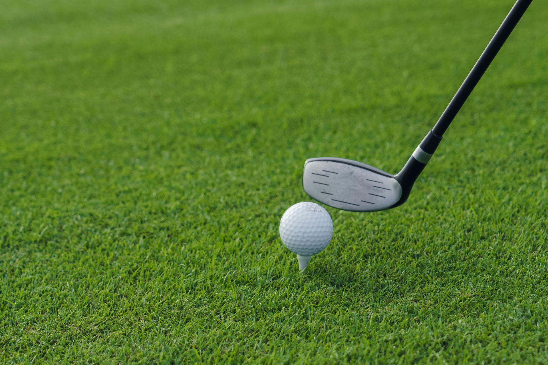 lining up a golf shot on artificial turf