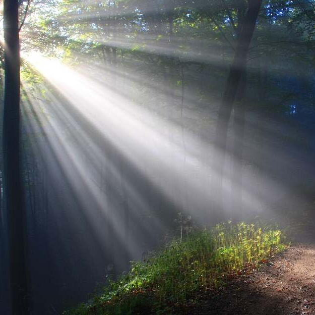 Collage met de woorden 