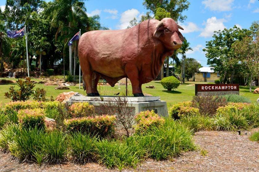 Large Brown Bull Statue in Rockhampton, Australia, Surrounded by Green Shrubs and a Blue Sky — Bob’s Trailer Trash in Rockhampton, QLD
