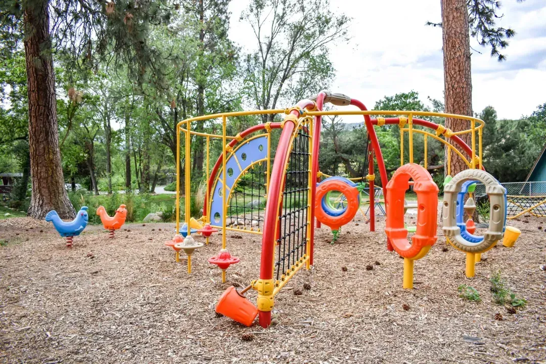 Colorful playground swings and climbing rings in a wooded park with wood-chip ground