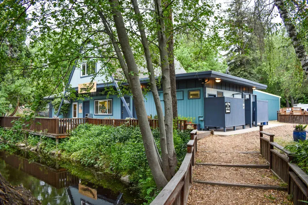 Blue house beside a creek, with a wooden bridge and trees in the foreground