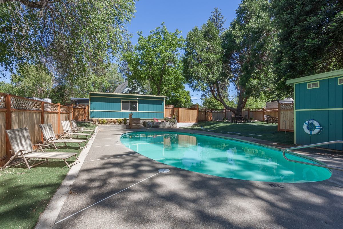 Backyard with turquoise pool, lounge chairs, wooden fence, and trees under a clear blue sky