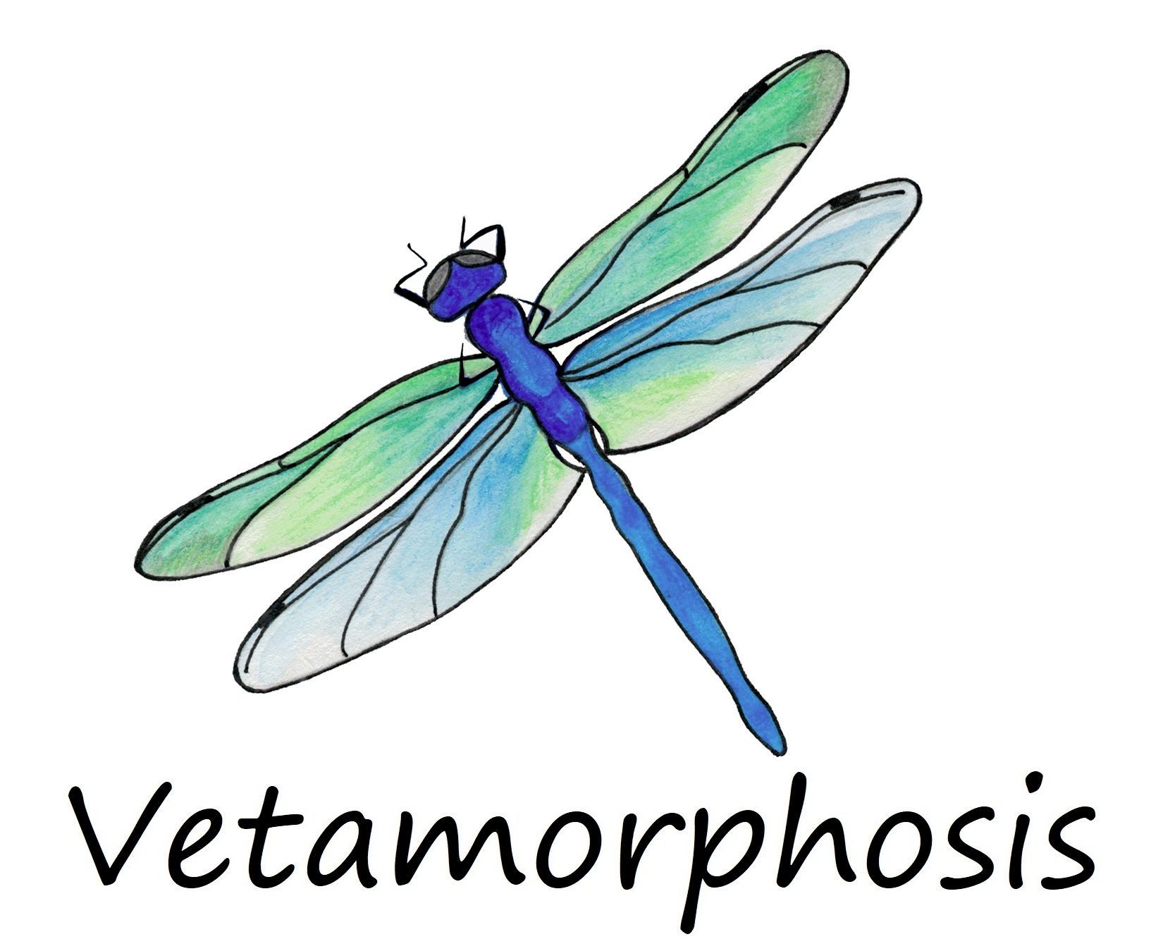 Vetamorphosis logo
